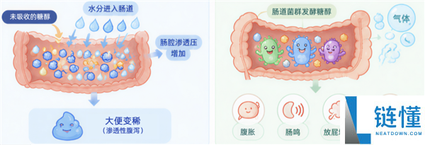 为什么有的人吃完月饼后变成“喷射战士”?探讨月饼消化问题