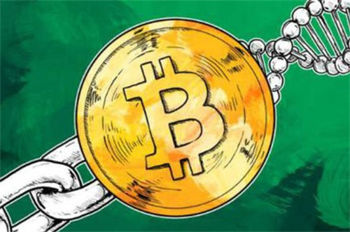全面解析比特币挖矿教程：从基础知识到实际操作指南