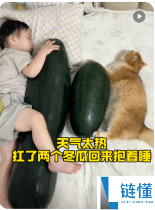 抱着冬瓜睡觉防暑效果显著 但这条建议你必须了解