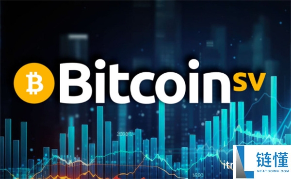 BSV智能合约简介：含义、用途及应用解析