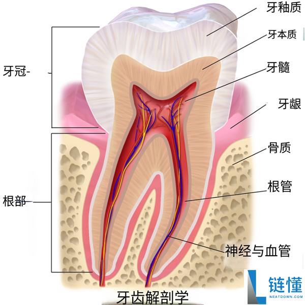吃烤串烫伤牙齿的真实案例与预防方法