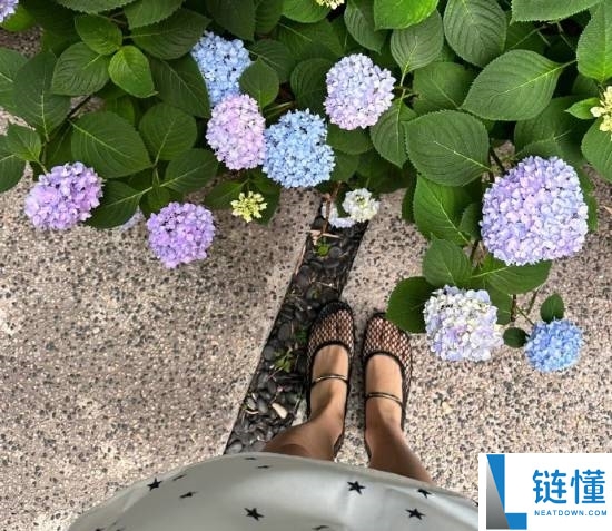 7000元爆款渔网丑鞋引爆市场 助力浙江多条流水线复苏
