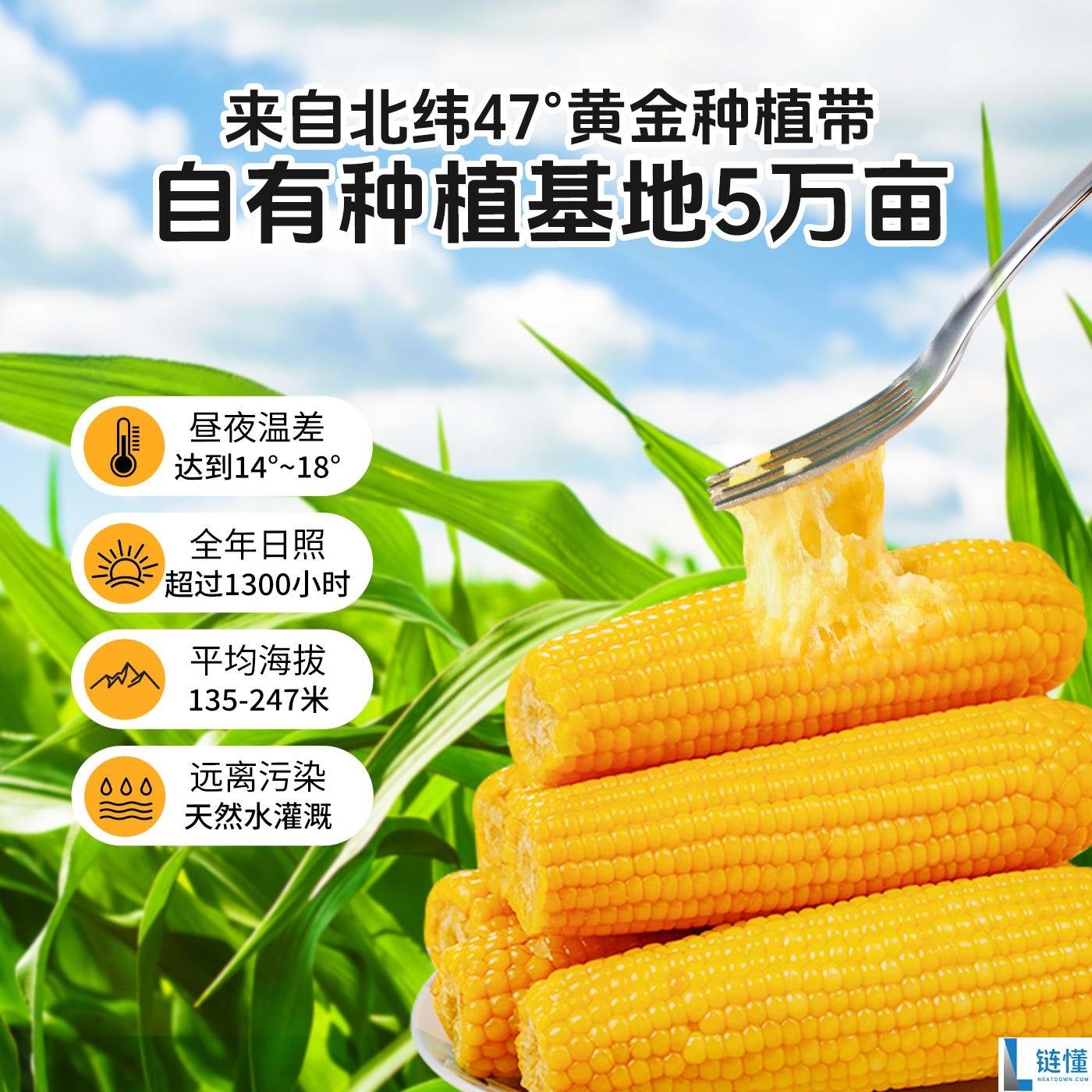 刘老杆黄糯玉米真空独立包装特价促销：仅需16.9元到手价！