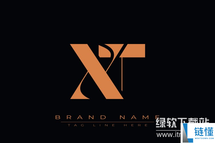 XT.com交易所成立时间介绍与历史背景