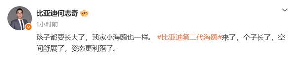 比亚迪第二代海鸥正式亮相：尺寸升级，外观更为利落！